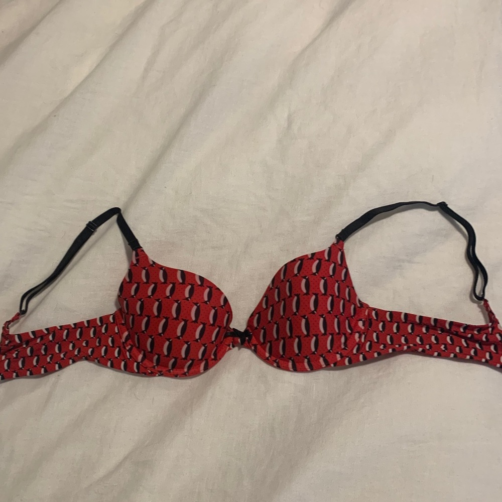 Victoria’s Secret penguin bra.